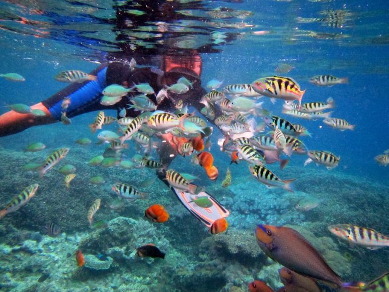 Lembongan Island Snorkeling Tour Bali Kini Holidays